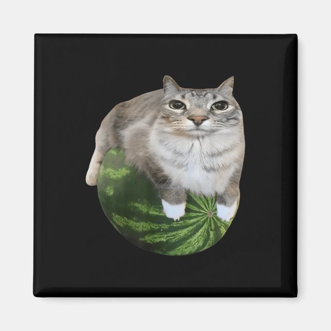 Watermelon Cat Albern Cat Meme Magnet (Vorne)
