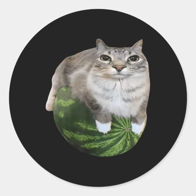Watermelon Cat Albern Cat Meme Runder Aufkleber (Vorderseite)