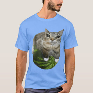 Watermelon Cat Meme T-Shirt