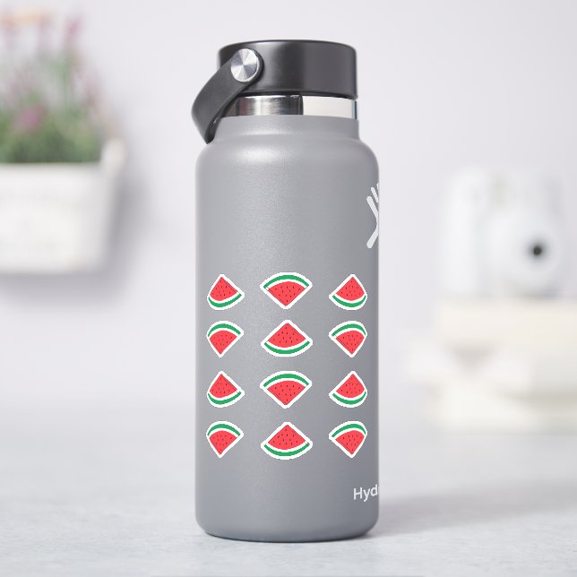 Watermelon Wedge Sticker Pack (HydroFlask)