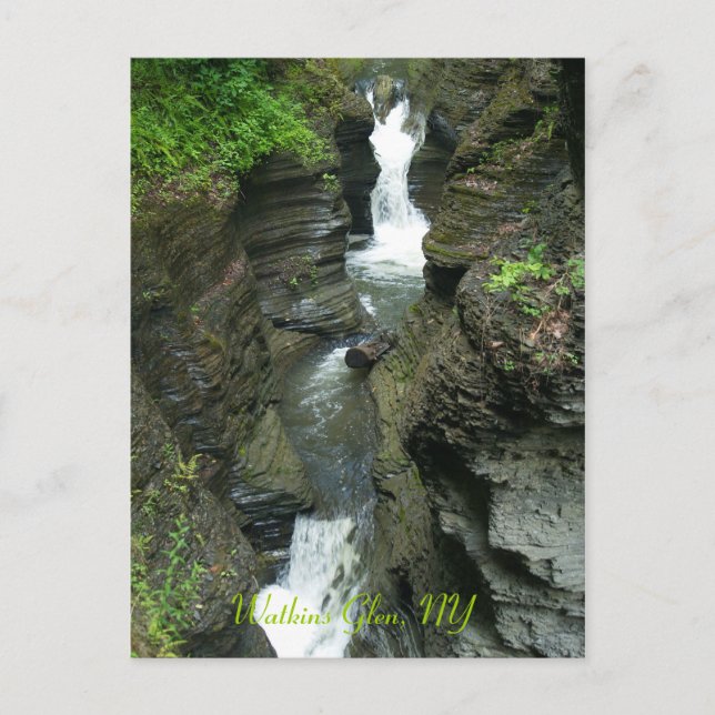 Watkins Glen, NY, Foto von: ... Postkarte (Vorderseite)