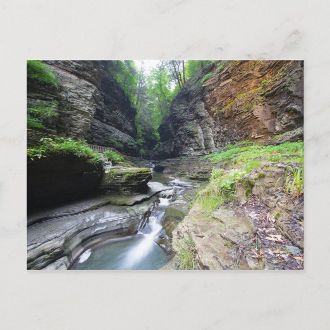 Watkins Glen Staat Park, New York Postkarte (Vorderseite)