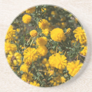 Wattle Getränkeuntersetzer