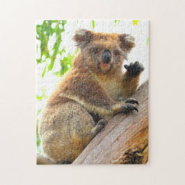 WAVING KOALA 11x14 INCH