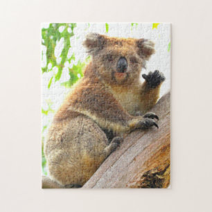 WAVING KOALA 11x14 INCH