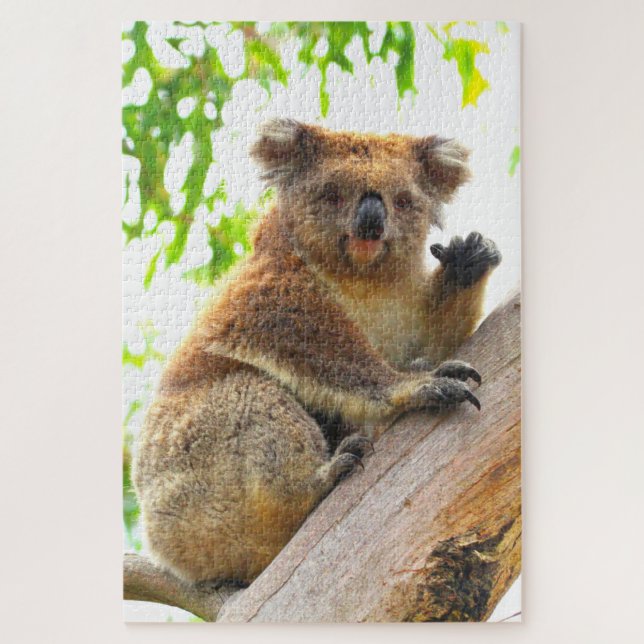 WAVING KOALA 20x30 INCH (Vertikal)