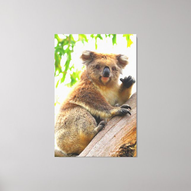 WAVING KOALA 32x48 Leinwanddruck (Vorderseite)