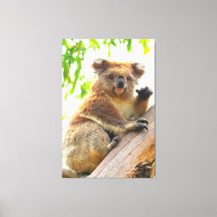 WAVING KOALA 40x60 Leinwanddruck