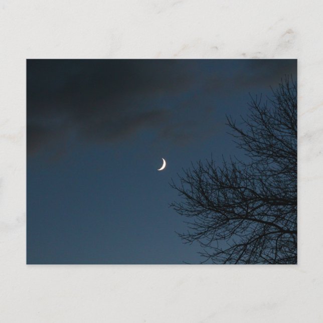 Waxing Crescent Moon in Sagittarius Postkarte (Vorderseite)