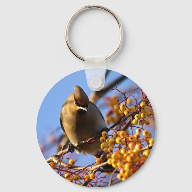 Waxwing Bird Schlüsselanhänger (Vorderseite)
