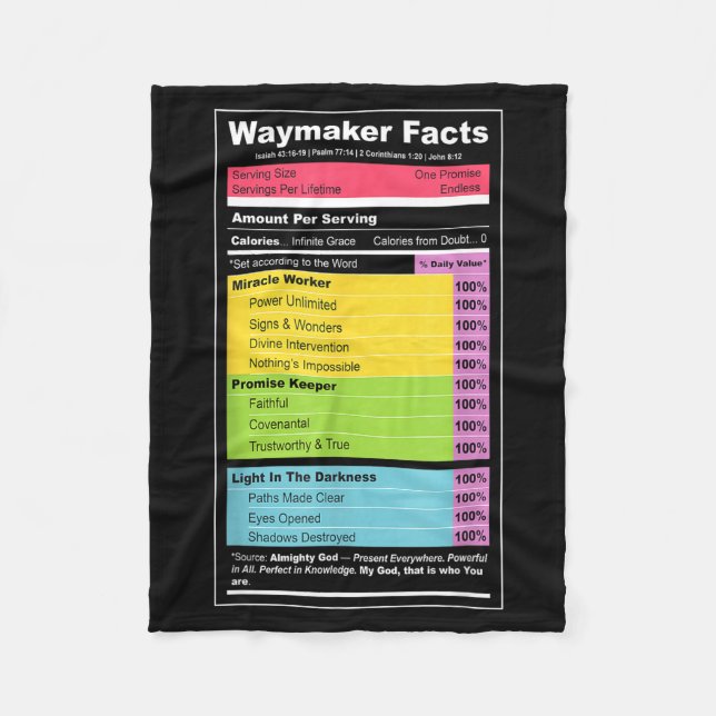 Waymaker Facts Christian Tee _ Faith Nutrition Lab Fleecedecke (Vorderseite)
