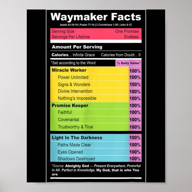 Waymaker Facts Christian Tee _ Faith Nutrition Lab Poster (Vorne)