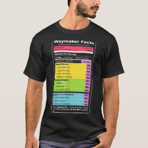 Waymaker Fakten Christliches T-Shirt _ Faith Nutri