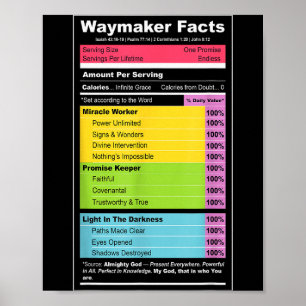Waymaker Fakten Christliches T-Shirt _ Faith Nutri Poster