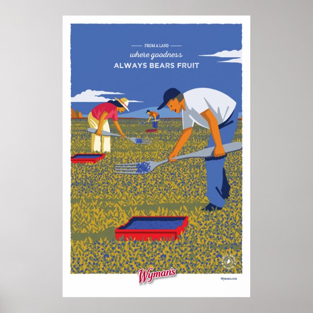 WBB Raking Poster (Vorne)