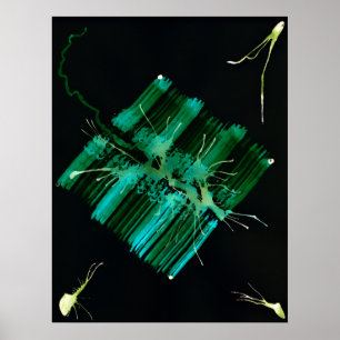 WDV - 059 - Suchen Poster