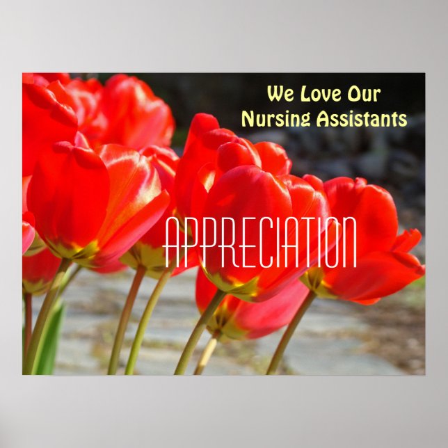 We Love Our Nursing Assistants poster Appréciation (Devant)