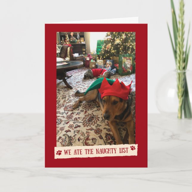 We Mate The Naughty List - Carte drôle des chiens (Devant)