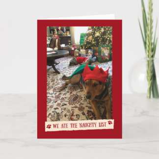 We Mate The Naughty List - Carte drôle des chiens