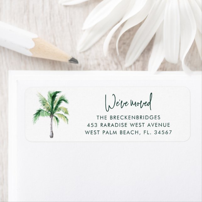 We Moved Coastal Palm Tree Return Address (Insitu)