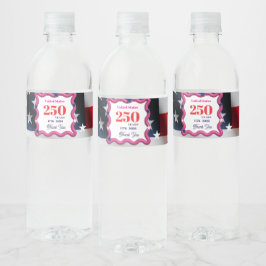 We The Silly Geese 250th Funny Celebration