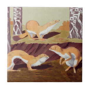 Weasel Animal Vintag Print Fliese