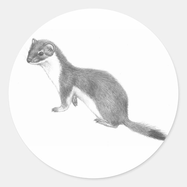Weasel-Aufkleber Runder Aufkleber (Vorderseite)