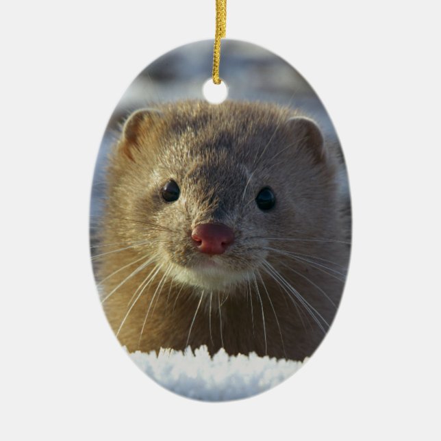Weasel Keramik Ornament (Vorne)