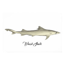 Weasel Shark