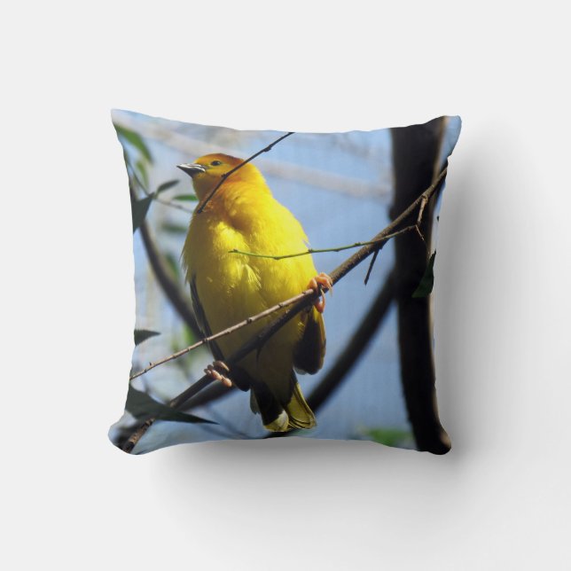 Weaver Bird Kissen (Vorderseite)