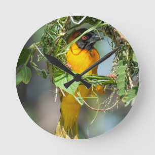 Weaver Bird Runde Wanduhr
