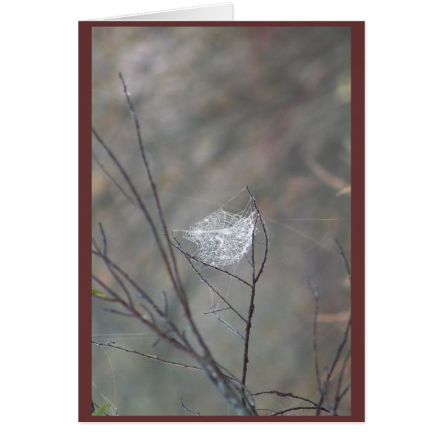 web (Devant)