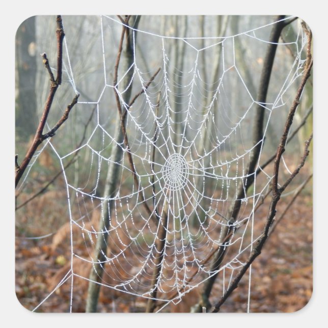 Web-Aufkleber für den europäischen Garten Quadratischer Aufkleber (Vorderseite)