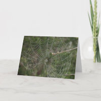 Web heilen