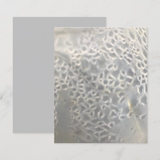 Web Scrapbook Paper (Weißes Licht, graue Blasen) (Vorne/Hinten)
