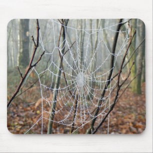 Web-Seite der Spinnenmatte des Europäischen Garten Mousepad