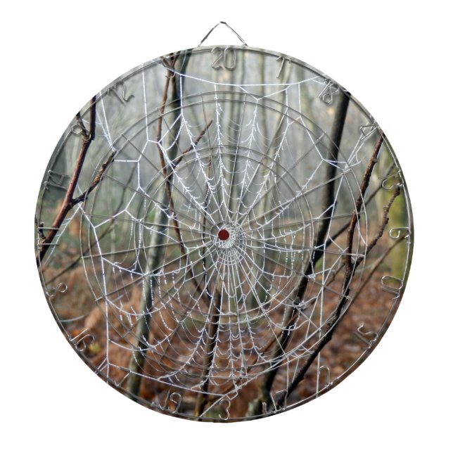 Web-Seite des Spiders Dartscheibe (vorne)