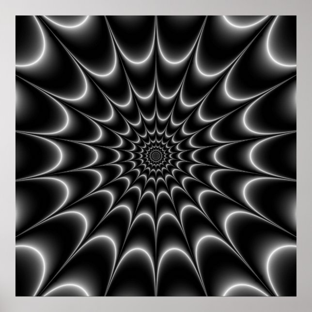 Web Star in Schwarz und Weiß Poster (Vorne)