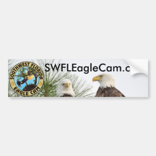 Website-Autoaufkleber Autoaufkleber