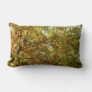 Wechselnde Ahornbaum grüne und goldene Herbstfarbe Lendenkissen