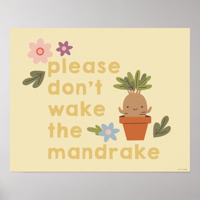Weck bitte nicht den Mandrake Poster (Vorne)