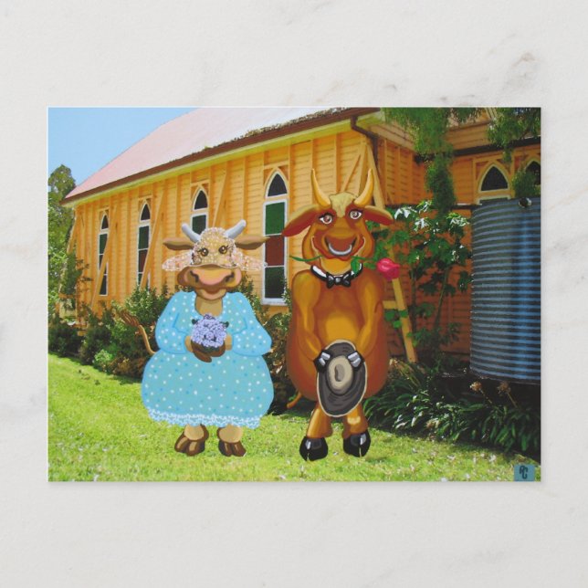 Weddabull Postkarte (Vorderseite)