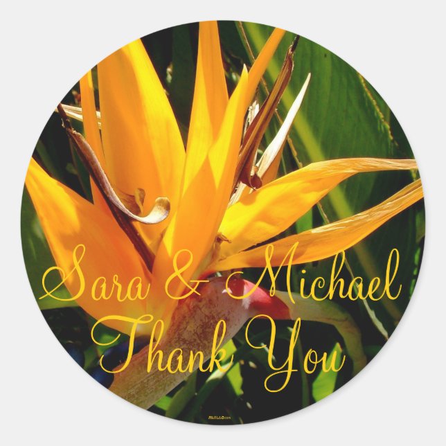 Wedding Bird of Paradise Danke Label Runder Aufkleber (Vorderseite)