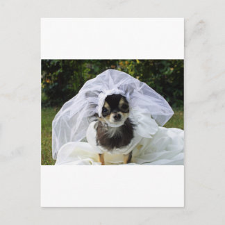 Wedding Chihuahua Bride Postkarte