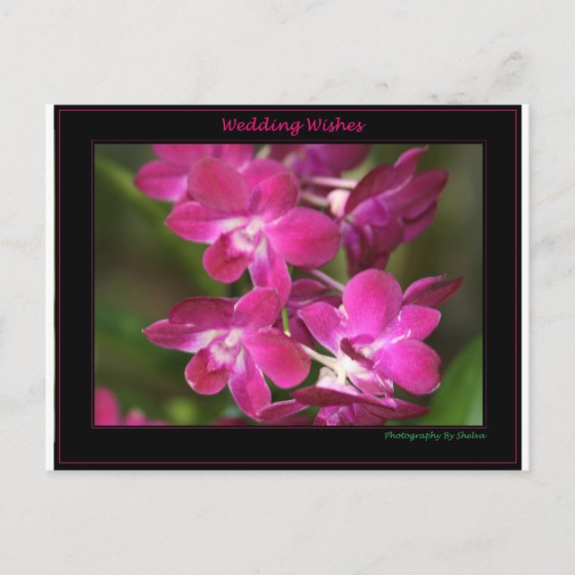 Wedding one postkarte (Vorderseite)