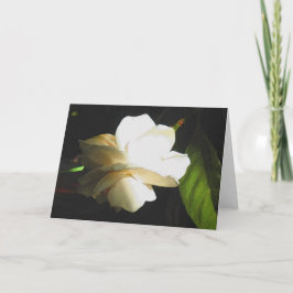 Wedding wohlriechende Elfenbeingardenia-Blüte Karte
