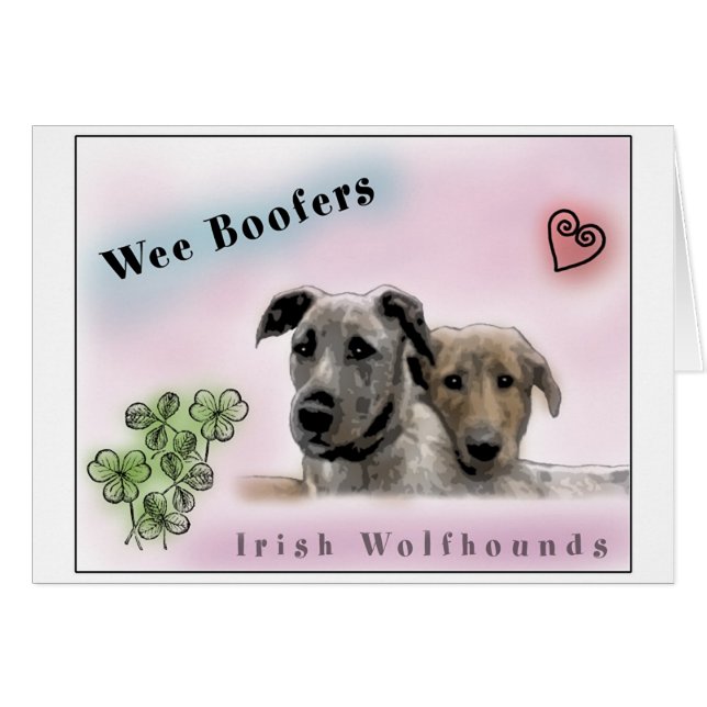 Wee Boofers - Irish Wolfhounds (Devant horizontal)
