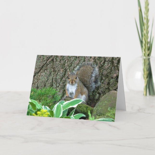 Wee Princess Feiertagskarte (Vorderseite)