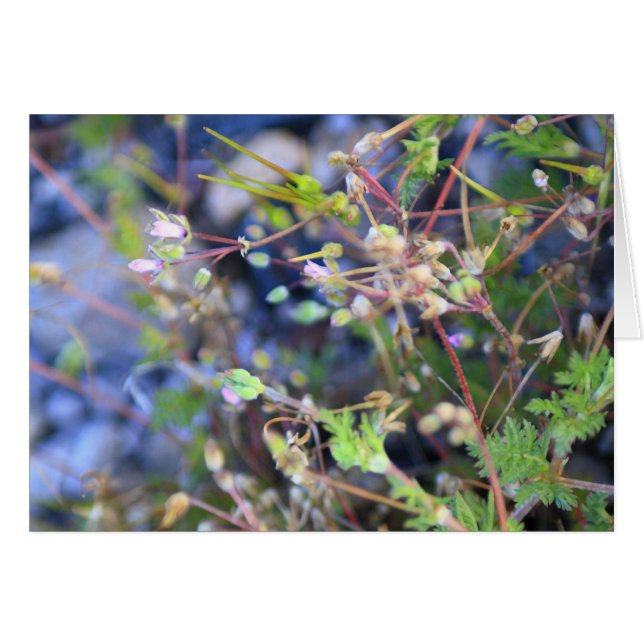 Weeds (Devant horizontal)