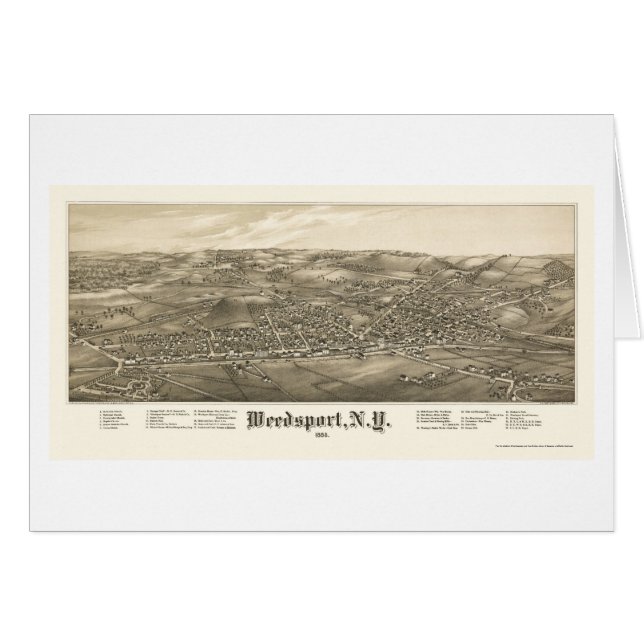 Weedsport, carte panoramique de NY - 1885 (Devant horizontal)